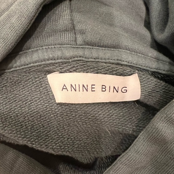 Anine bing ash hoodie faded emerald green size L - Picture 3 of 6